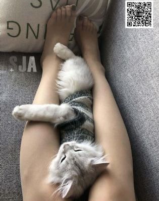 官人我还要_720免费在线观看